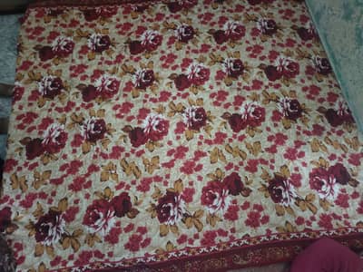 contact number 03224057516