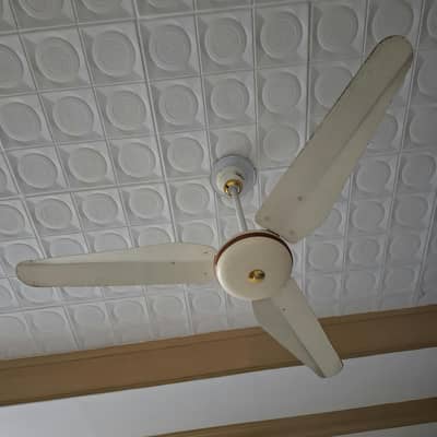 Ceiling Fan