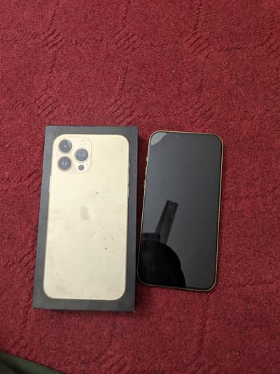 Apple iPhone 13 Pro Max
