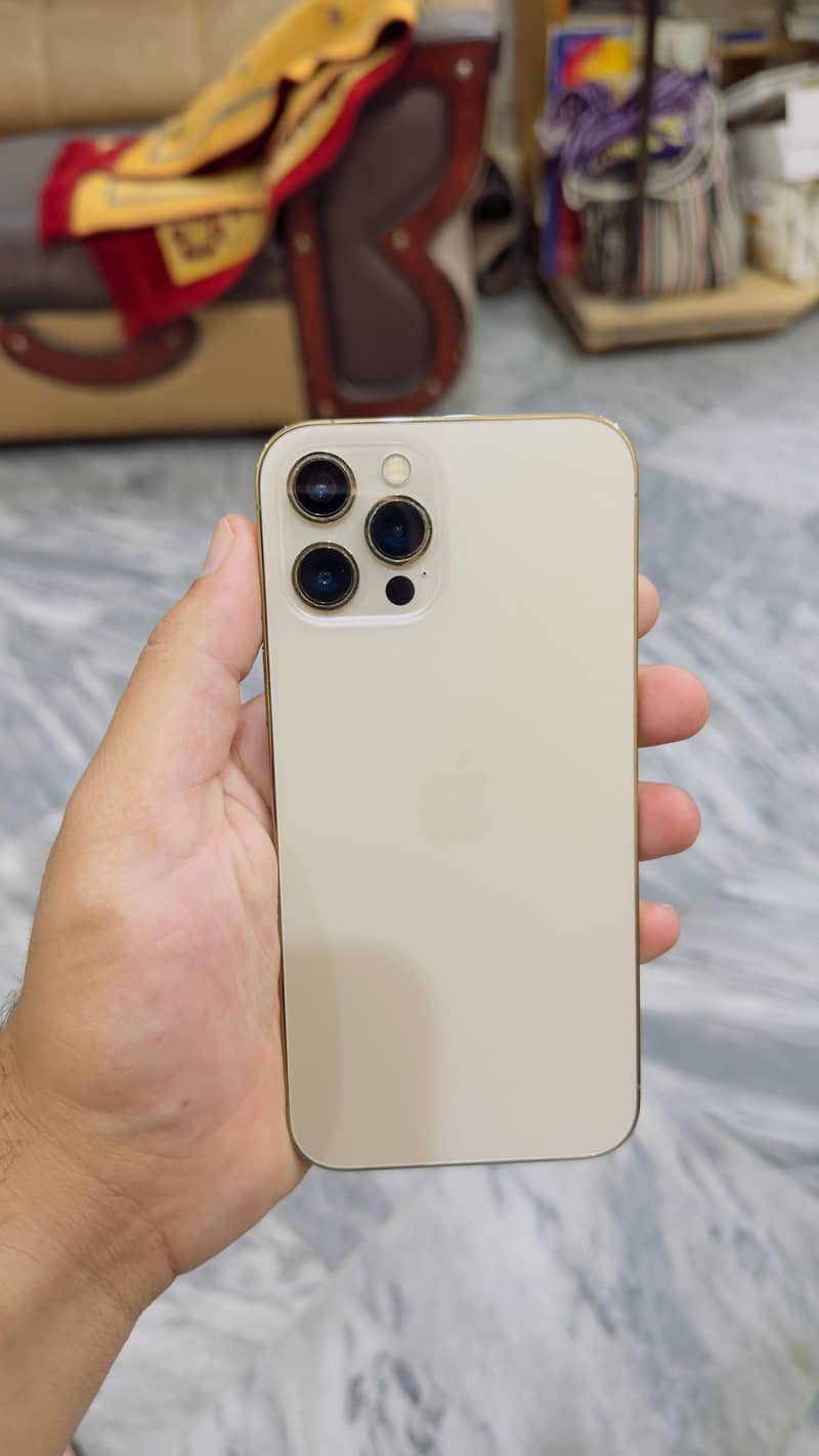 Apple iPhone 12 Pro Max 2