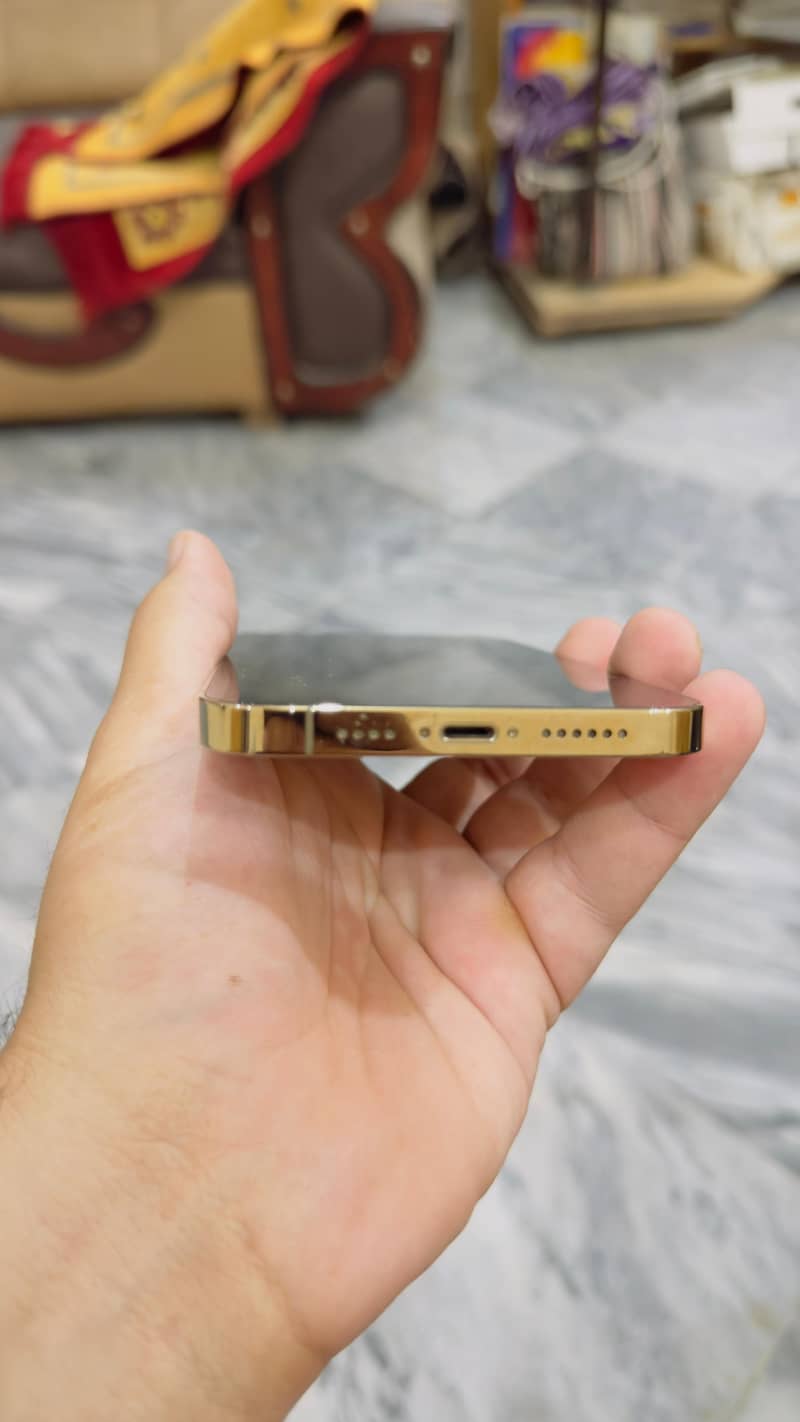 Apple iPhone 12 Pro Max 5