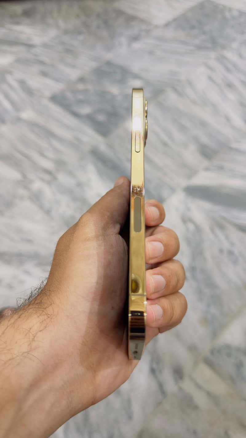 Apple iPhone 12 Pro Max 6