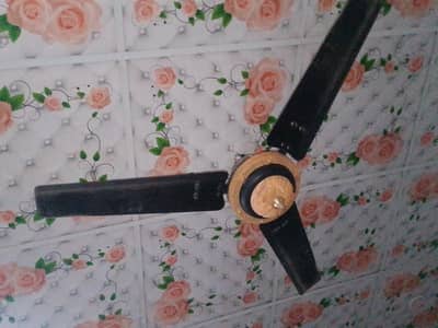 ac DC 12 volt battery py b chly ga