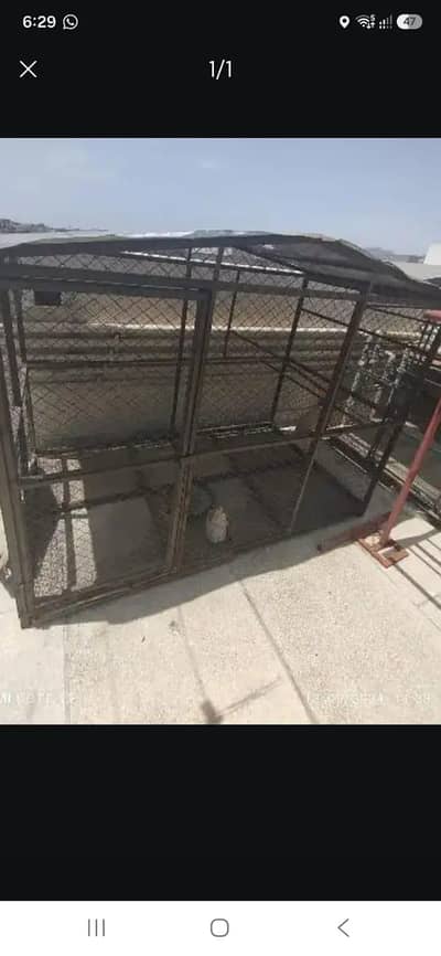 Birds Cage