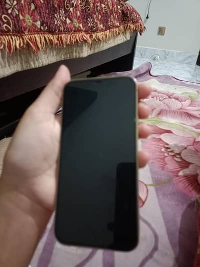 Apple iPhone 12 Pro