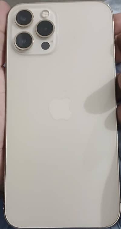 Apple iPhone 12 Pro Max