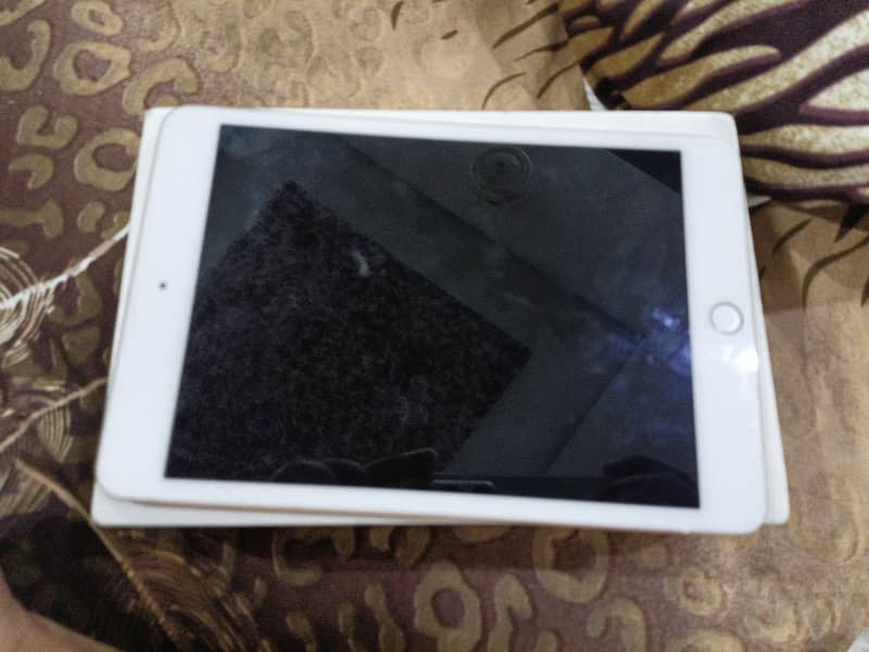 Ipad Mini 5 0