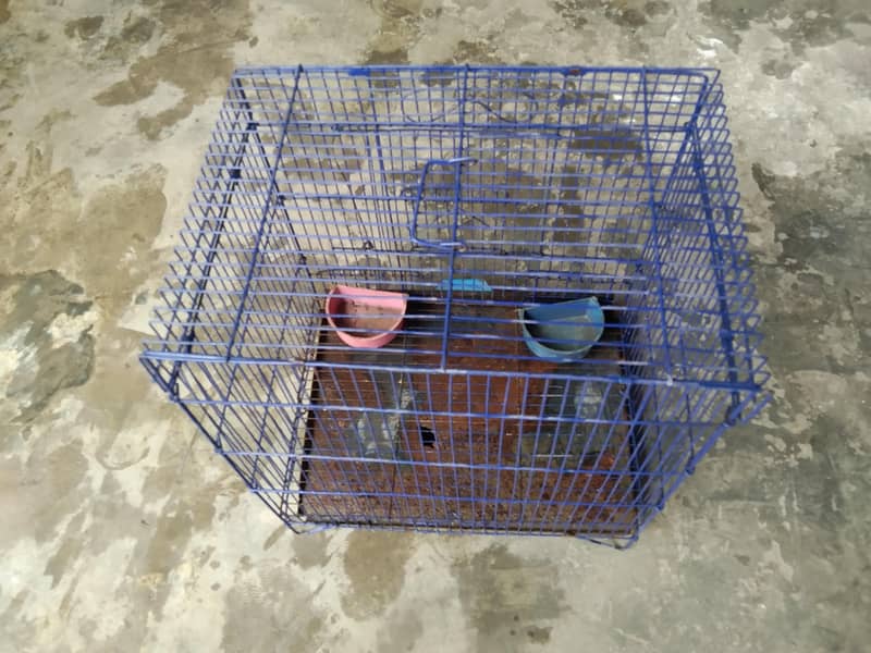 Bird cage 0