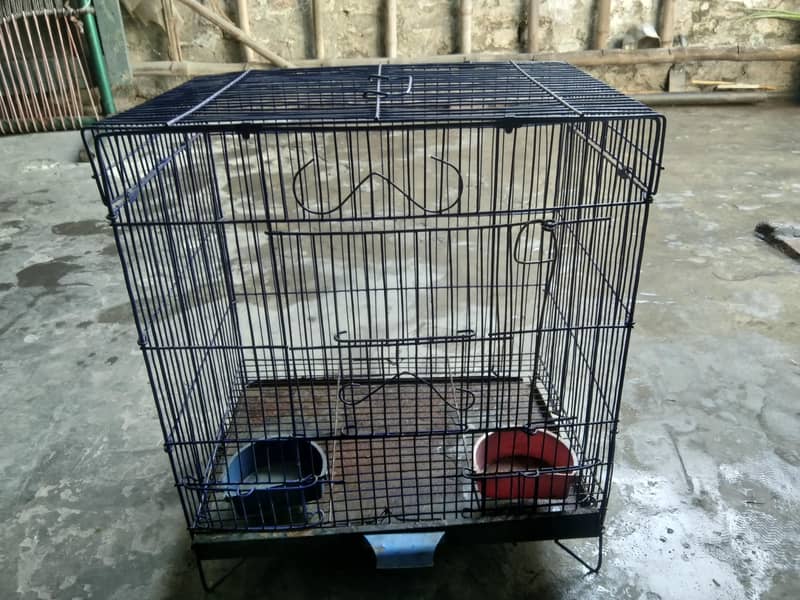 Bird cage 1