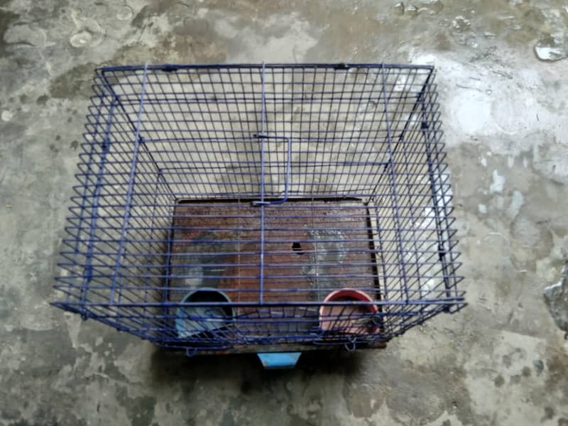 Bird cage 2