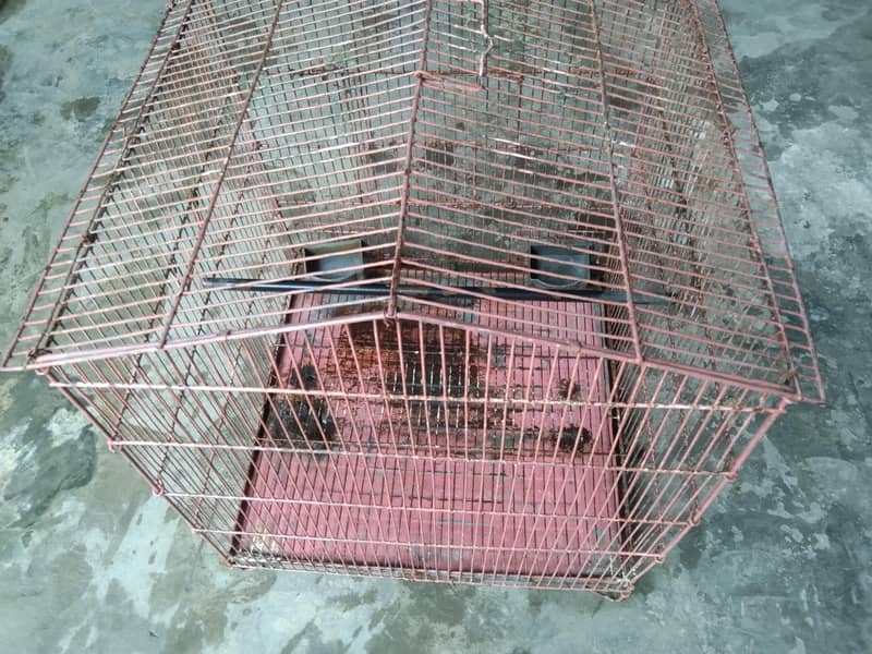 Bird cage 3