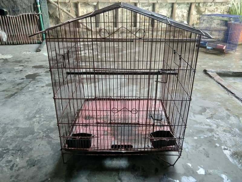 Bird cage 4