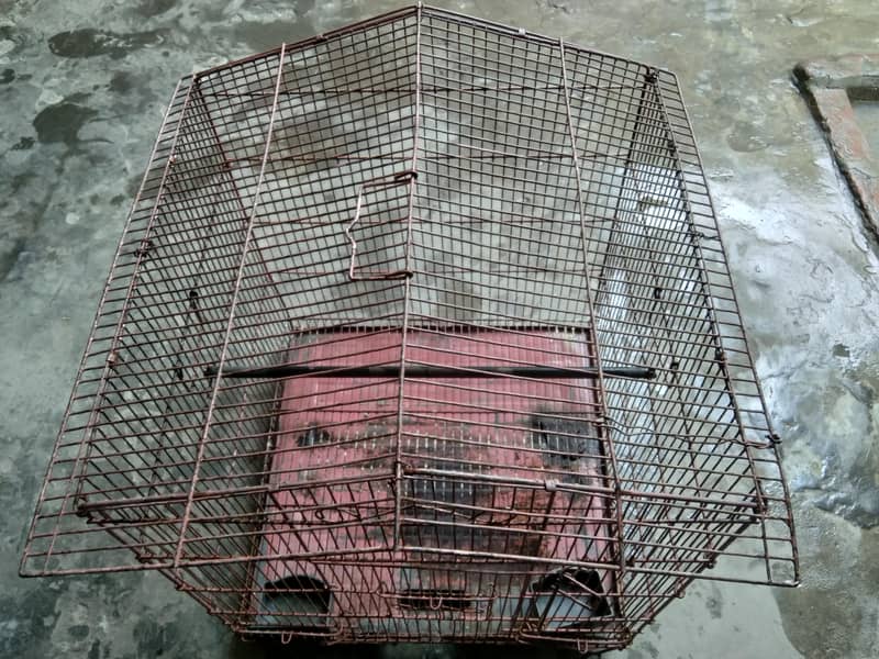 Bird cage 5