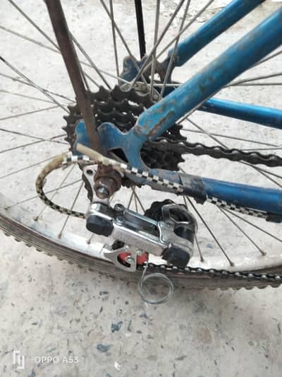 cycle for sale
