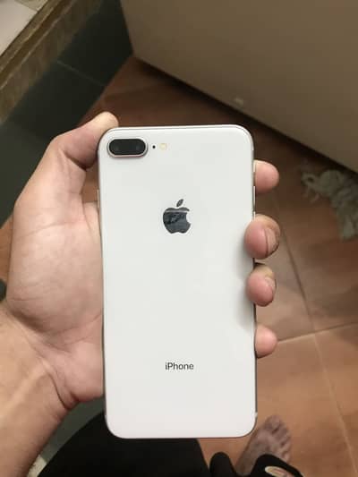 8plus pta prof
