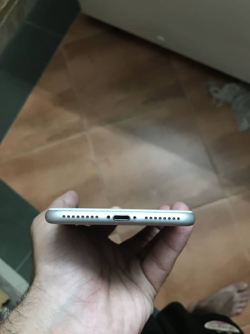 8plus pta prof 4