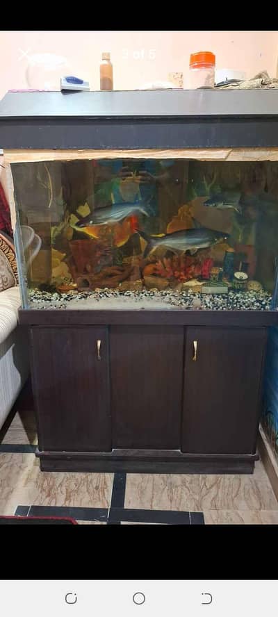 aqurium new condition 3 feet 8mm