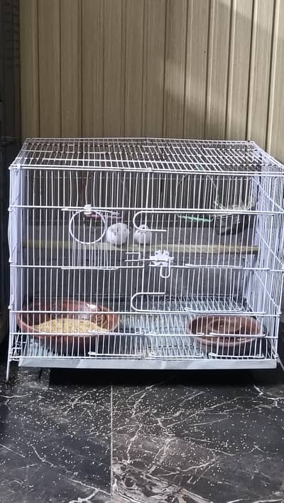 Red Peid Dove With Cage