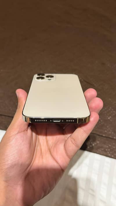 Apple iPhone 12 Pro Max