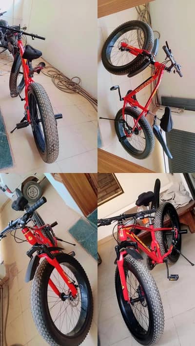 sanehma fat Bicycle