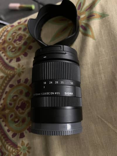 Sigma 18-50mm f2.8 Sony APSC 10/10