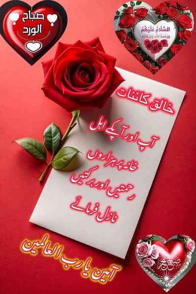 Need Job in wah cantt