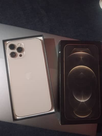 iPhone 12 Pro Max Dual Physical PtA