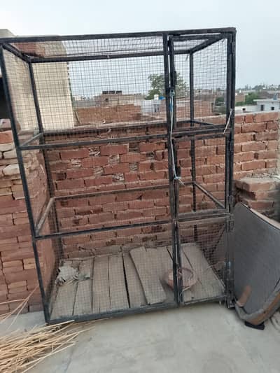 pinjra03049821409