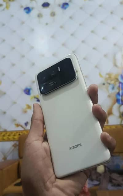 Xiaomi mi 11 Ultra 2 month use 1 green line in panel