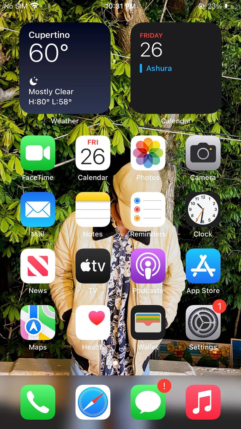 Apple iPhone 6S Plus 8
