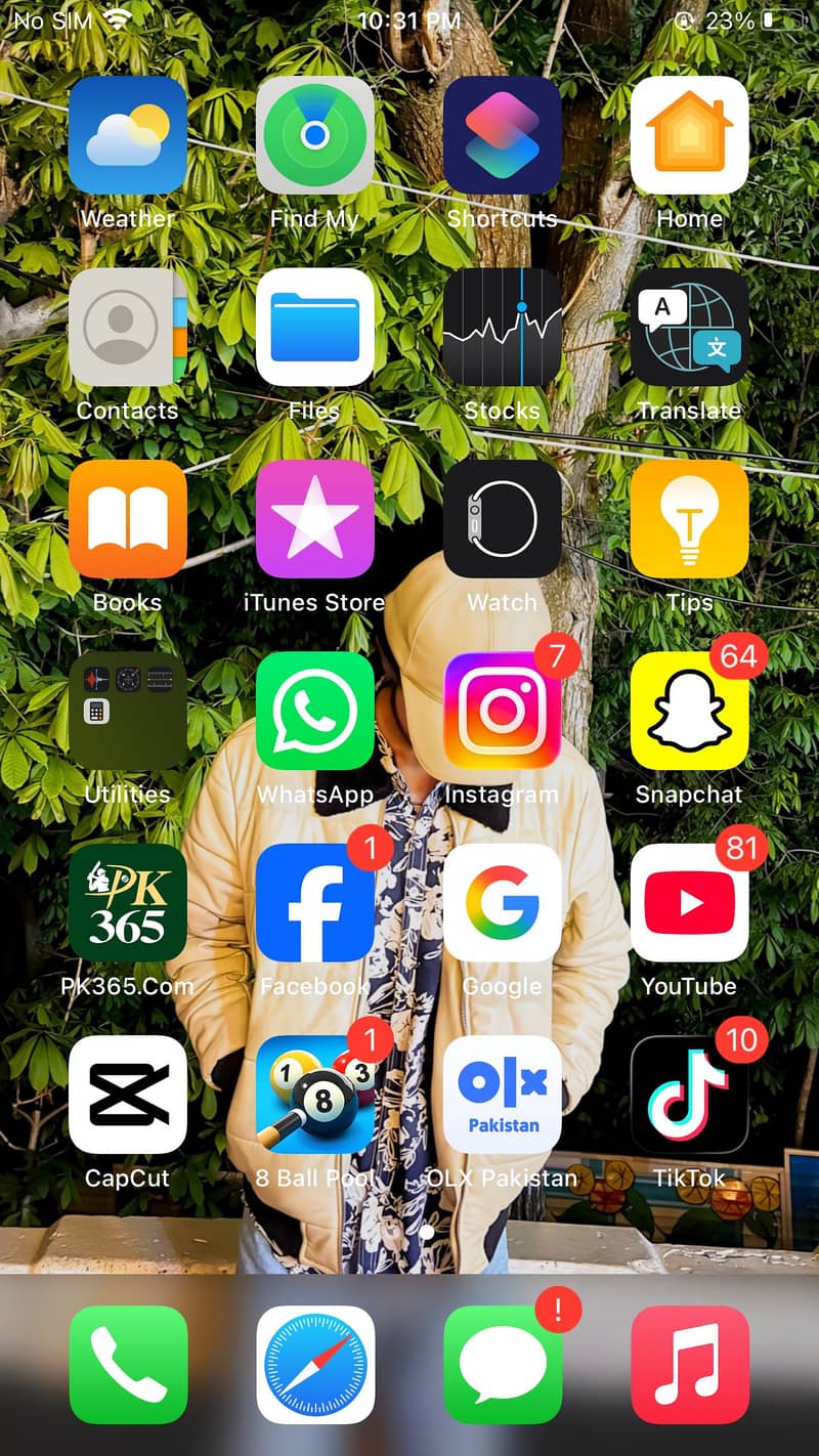 Apple iPhone 6S Plus 10