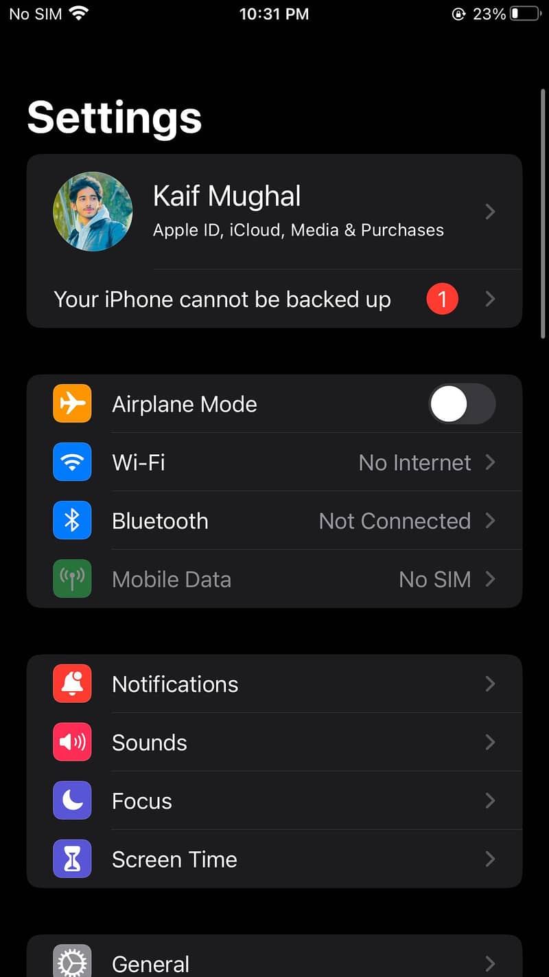 Apple iPhone 6S Plus 11