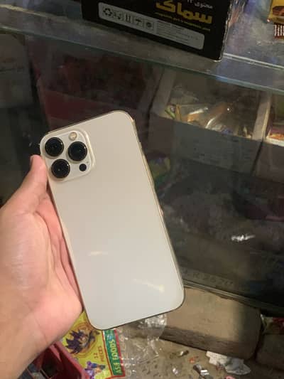 Apple iPhone 13 Pro Max