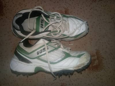 spikesl hs shoes for cricketer player. high quality with low price .