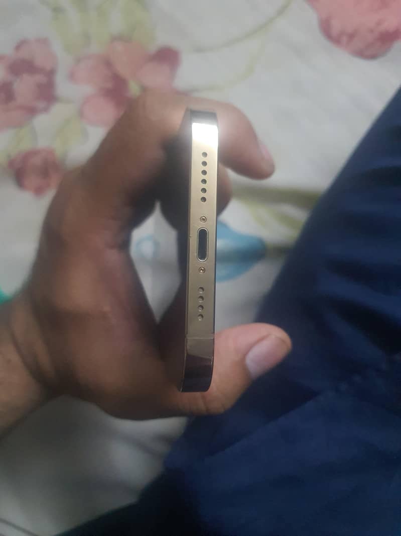Apple iPhone 13 Pro Max 0