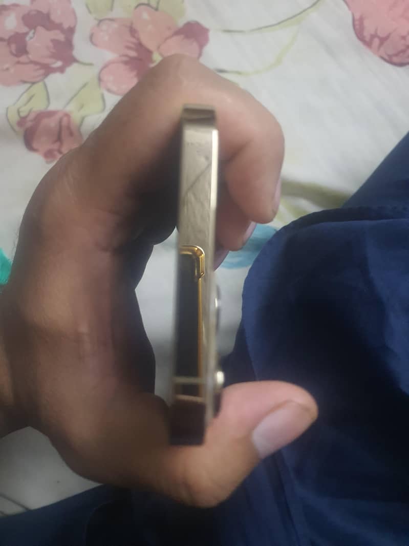 Apple iPhone 13 Pro Max 1