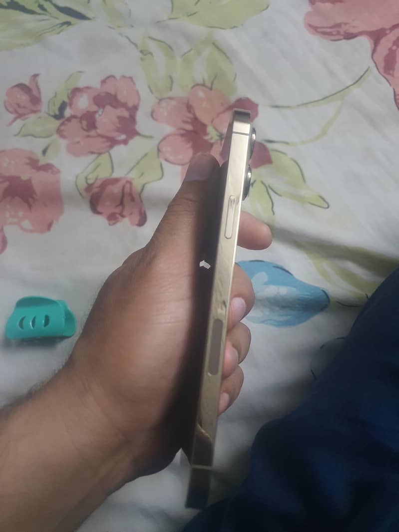 Apple iPhone 13 Pro Max 2