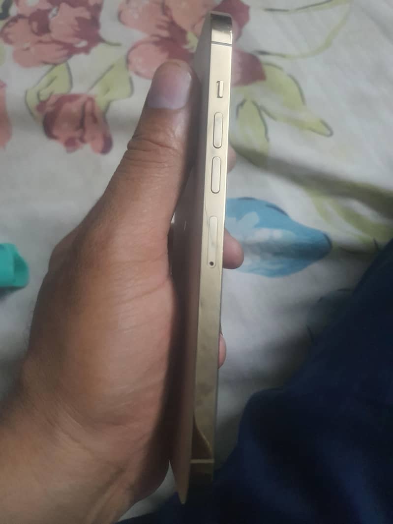 Apple iPhone 13 Pro Max 3