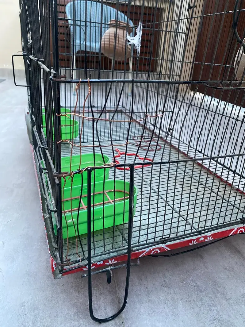 Birds cage — photo 5