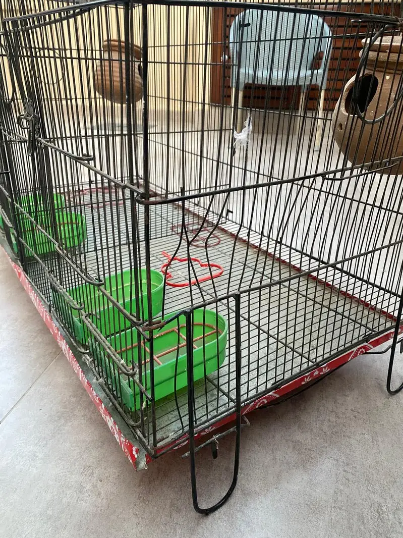 Birds cage — photo 6