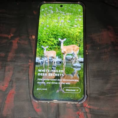 Infinix Hot 60 Pro 8/128 | 9 Months Warranty Remaining