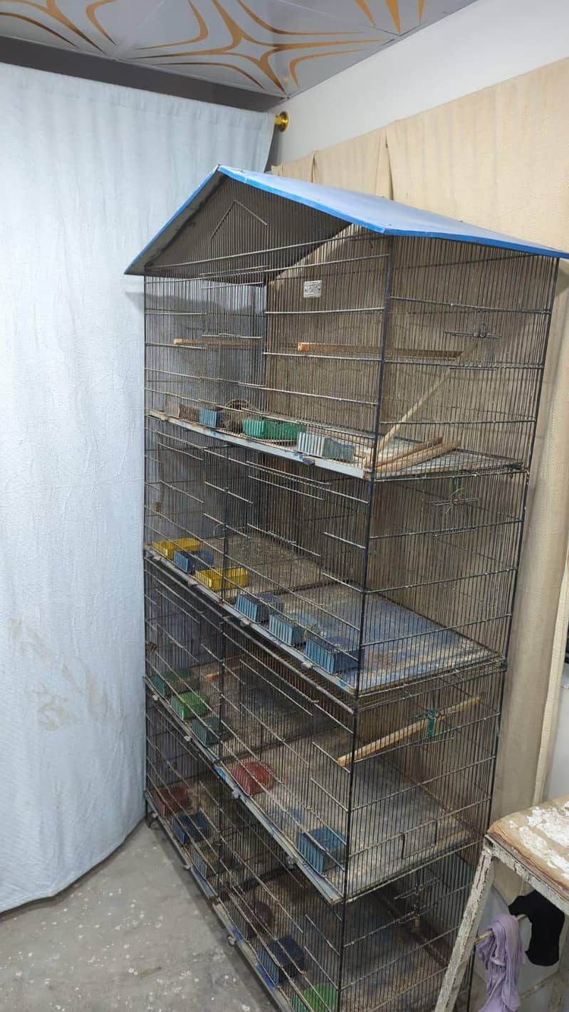 Master Cage 1