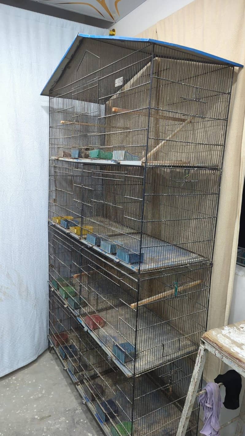 Master Cage 2