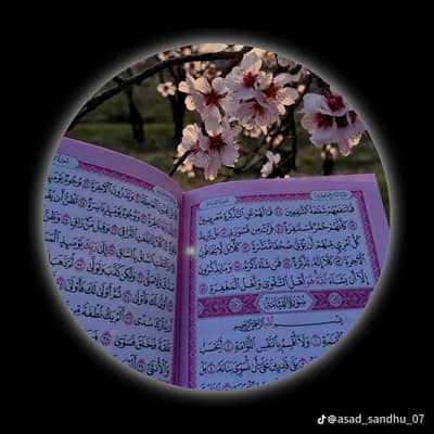 Online Quran Tutor - Hafiza Alima for Kids & Ladies
