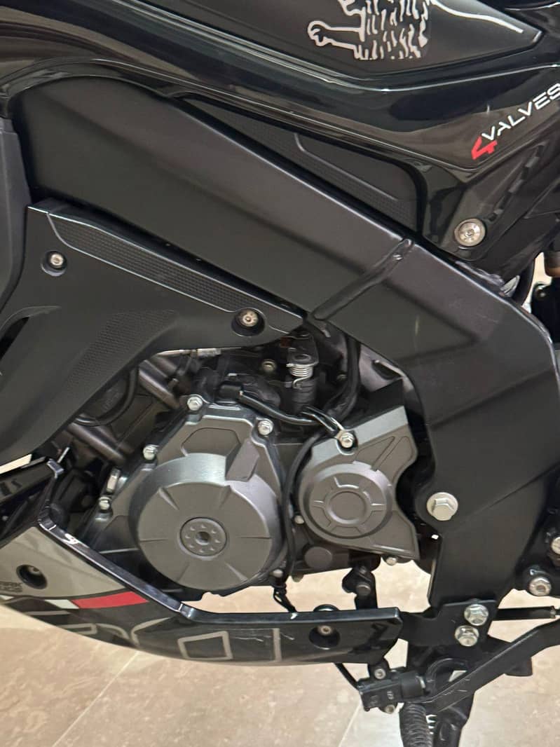 benelli 3