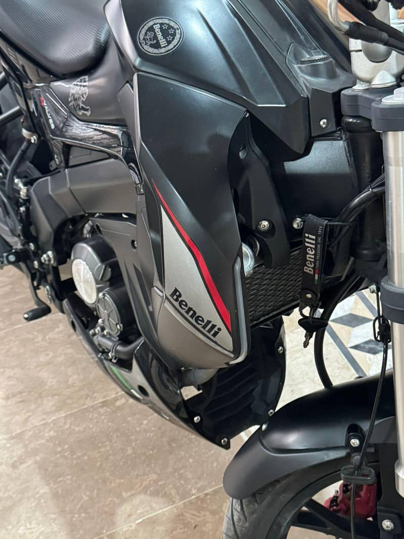 benelli 10