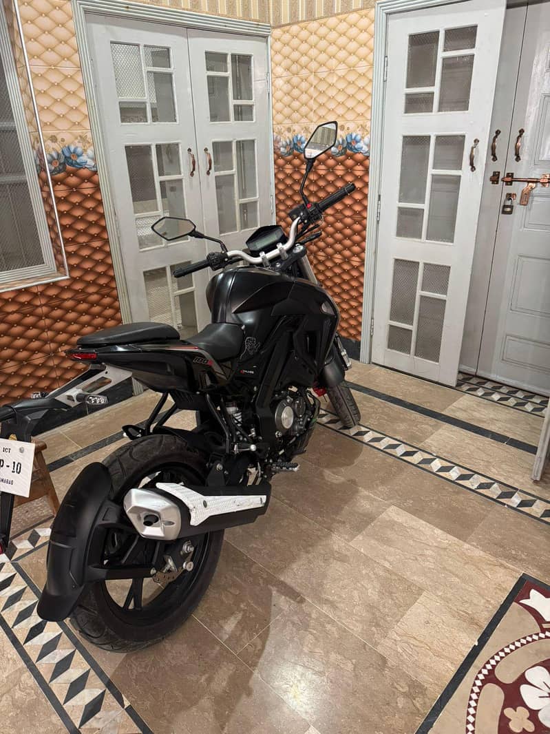 benelli 11