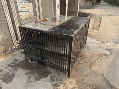 Pinjra (Cage) for chicken shop
