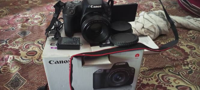 Canon EOS 200d with 50mm 1:18 STM lens