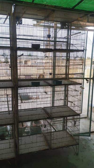 2 cage hain 5 portion and 8 portion wale